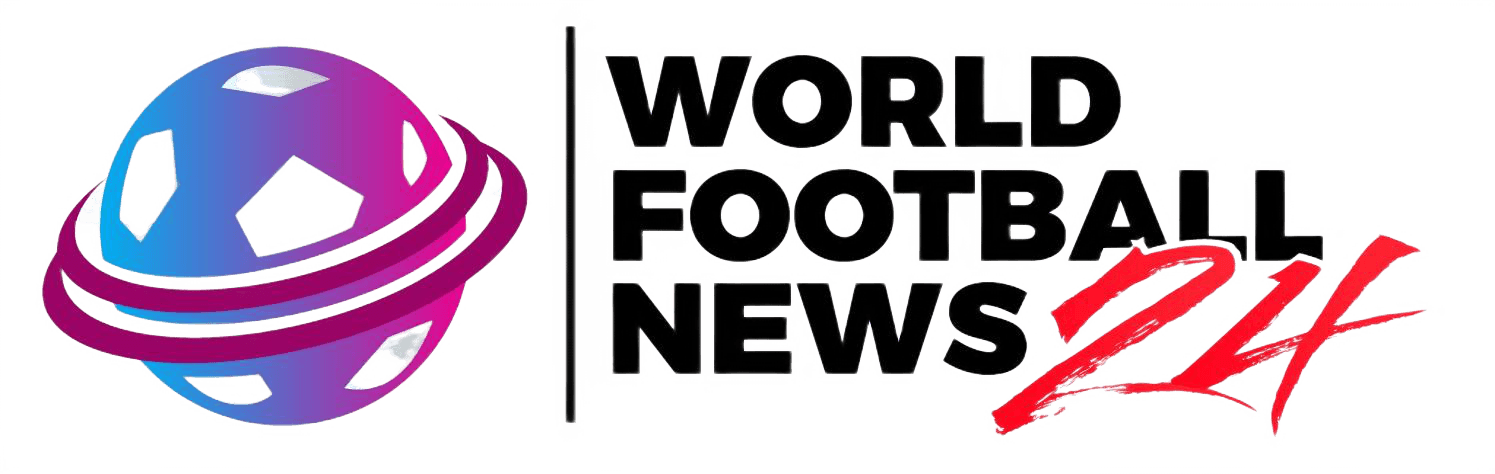 WFN24 Logo